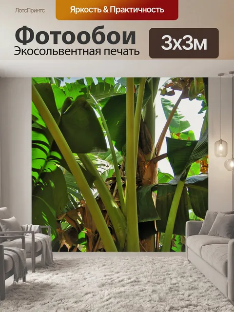 Фотообои высокий банановое дерево
