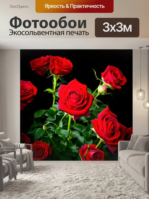 Фотообои розы в стиле модерн, темный фон, яркие розы, создающие контраст и глубину
