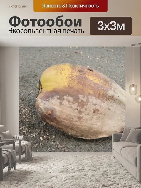 Фотообои Кокос на пляже