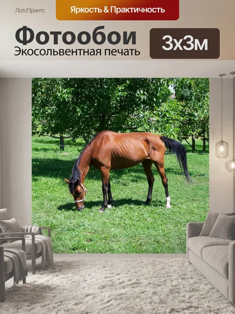Фотообои Коричневая лошадь