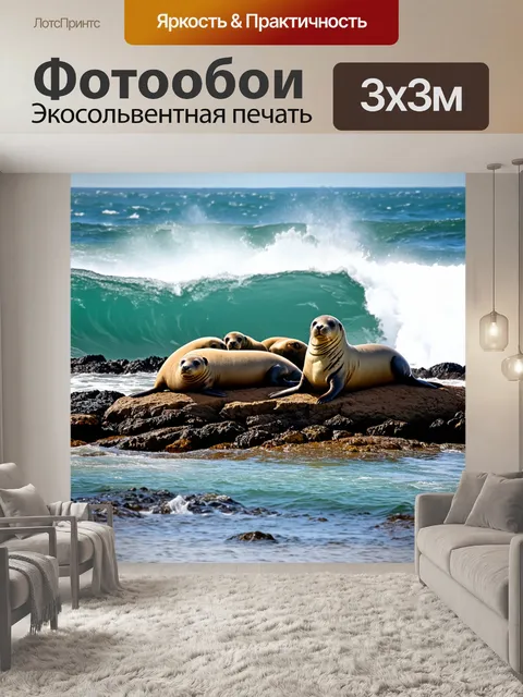 Фотообои охота: на заливе, где семья морских котиков отдыхает на скалах, а за ними величественные океанские волны