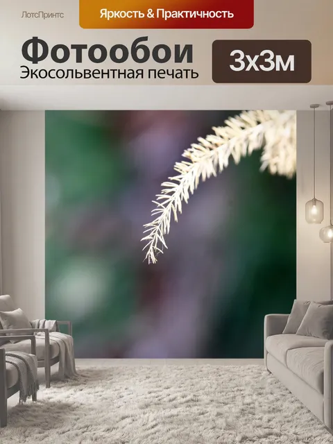 Фотообои тонкая сухая точка ветки