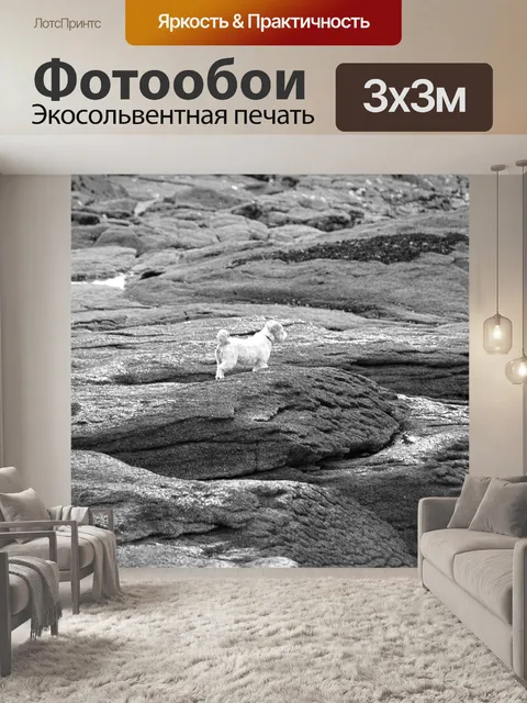 Фотообои Фокстерьер собака