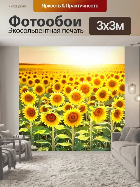 Фотообои золотые поля с подсолнухами под ярким солнцем