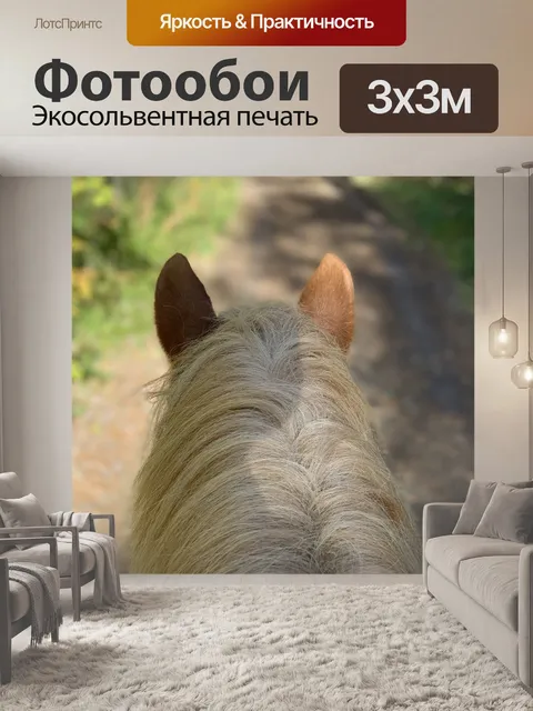 Фотообои Приключение