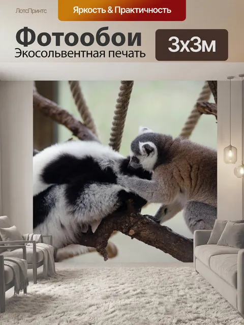 Фотообои Lemur Catta лемур и Вари