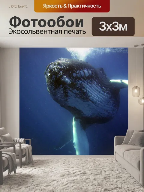 Фотообои Горбатый
