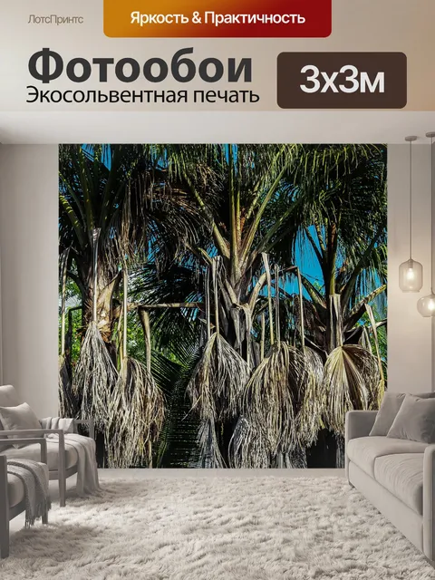 Фотообои Пальмовые деревья