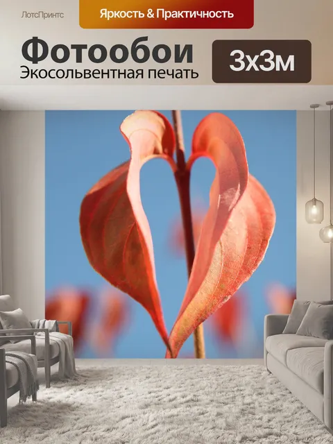 Фотообои Сердце