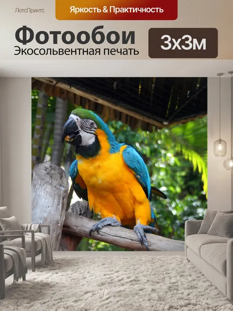 Фотообои желтый и синий ара попугай