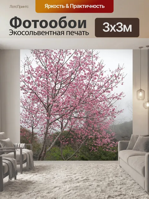Фотообои Цветение вишни