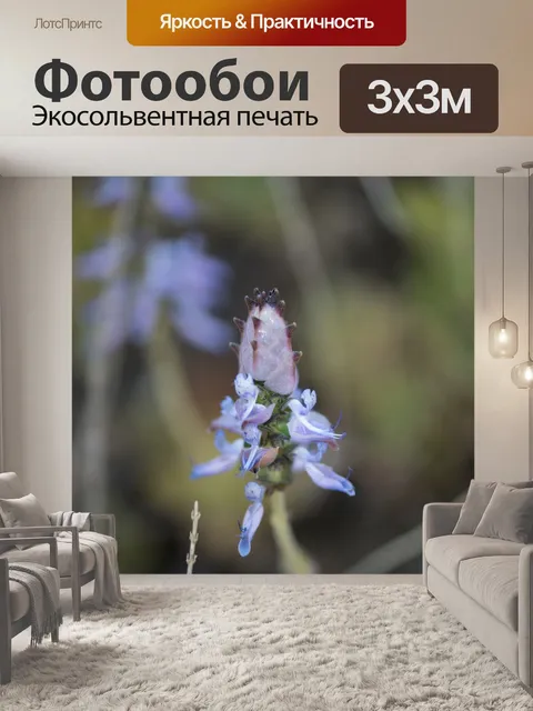 Фотообои Цветок