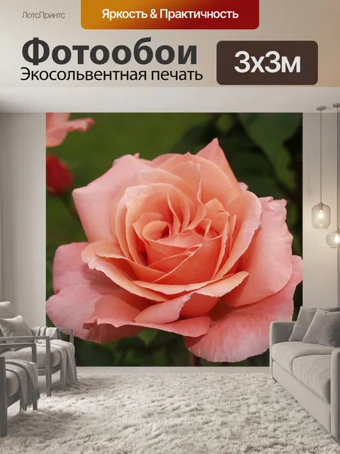 Фотообои Завод