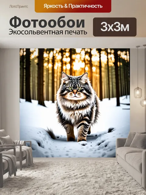 Фотообои мейн кун, бродящий по снежному лесу, на его шерсти сверкают капли росы