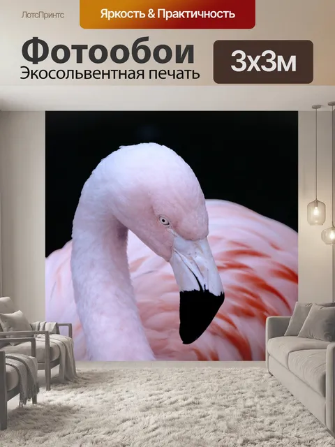 Фотообои Фламинго на темном фоне