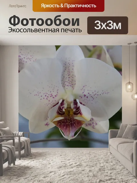Фотообои Цветок