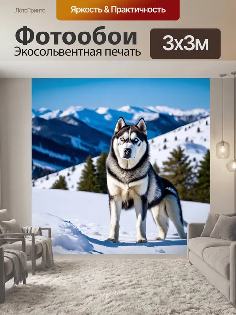 Фотообои хаски на заснеженной горе