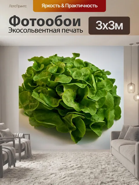 Фотообои Зеленый салат