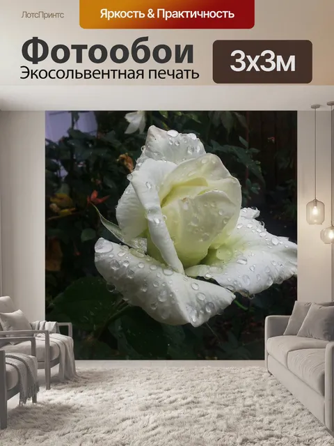 Фотообои Белый