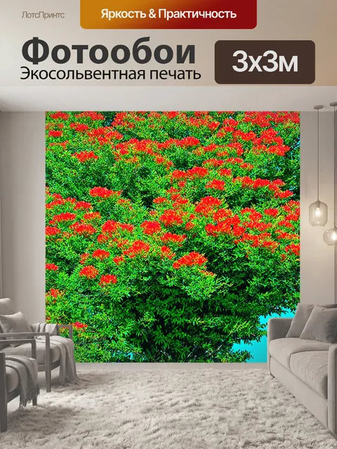 Фотообои кустарниковое дерево с ярко-красными цветами, создающее контраст с зелеными листьями