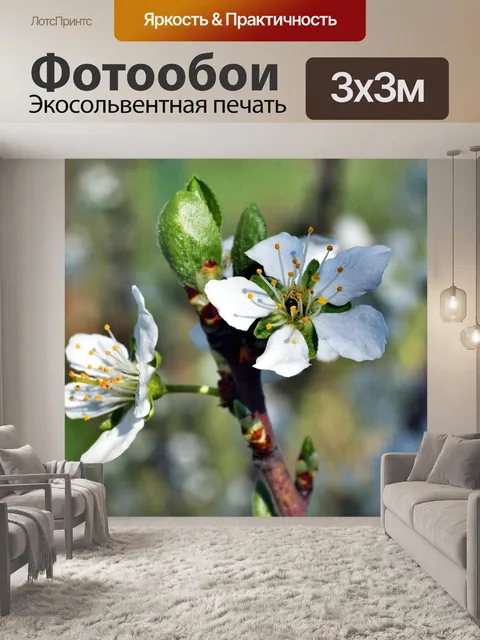 Фотообои Цветение сливы