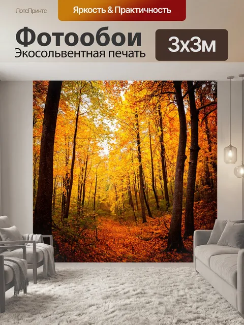 фотообои лес в стиле кинематографический: осенний лес