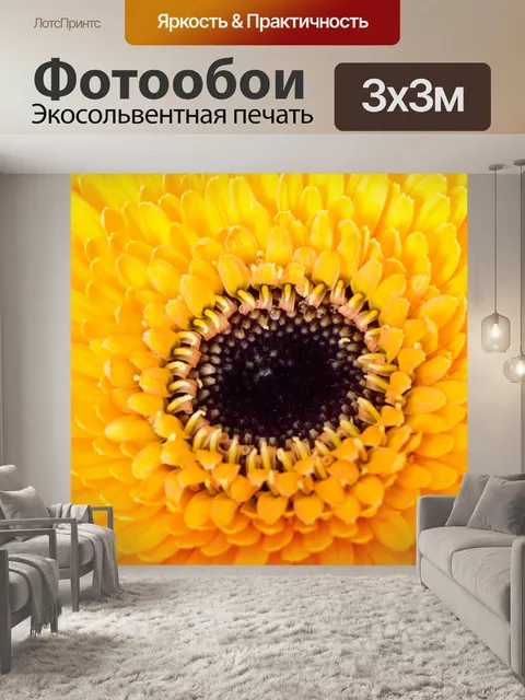Фотообои Желтый цветок герберы