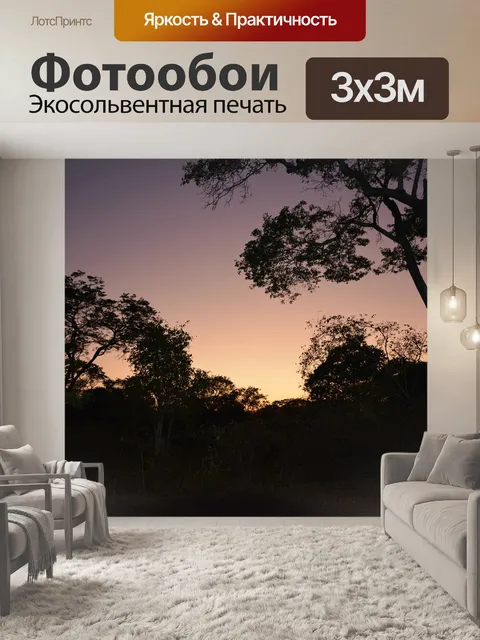 Фотообои Деревья