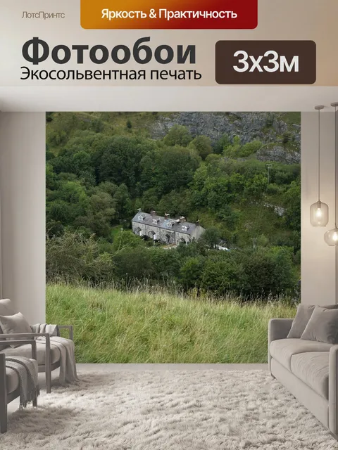 Фотообои Деревья