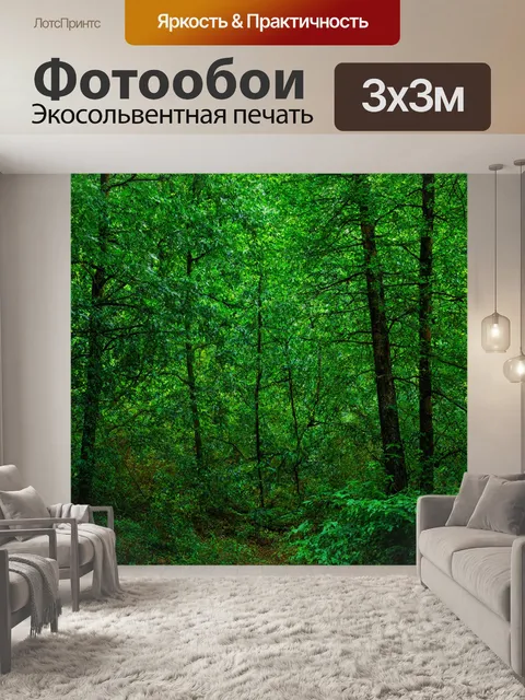 Фотообои зелёный лес с разными видами деревьев и пышной листвой