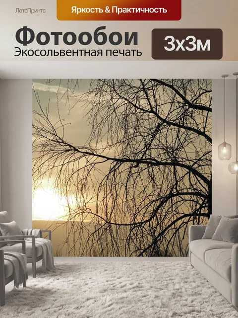 Фотообои Вечернее солнце