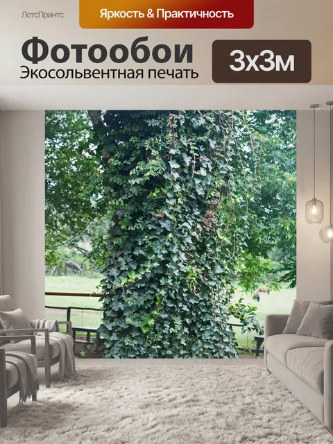 Фотообои покрытая плющом колонна на веранде