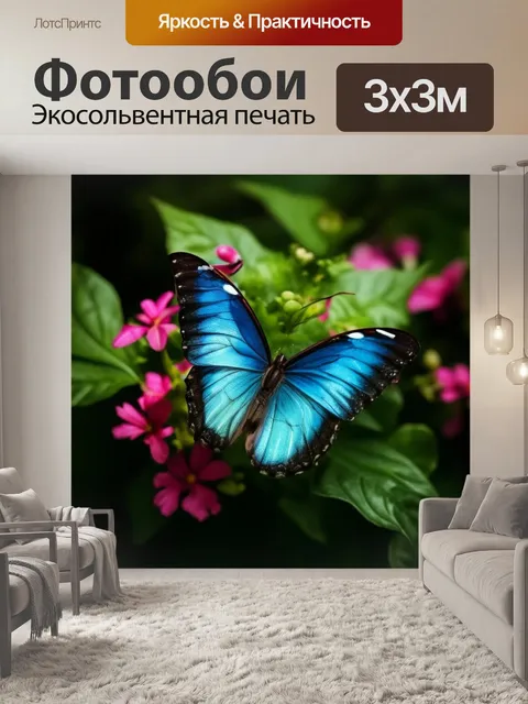 Фотообои синяя бабочка, красивый цветок, мечта фотографа