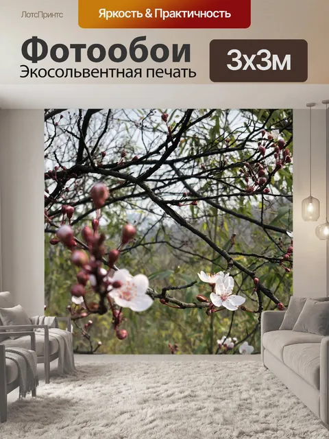 Фотообои Вишни в цвету