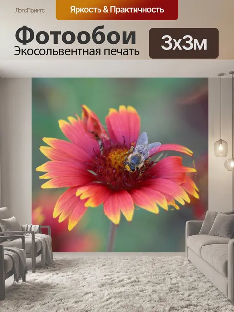 Фотообои Огненное колесо