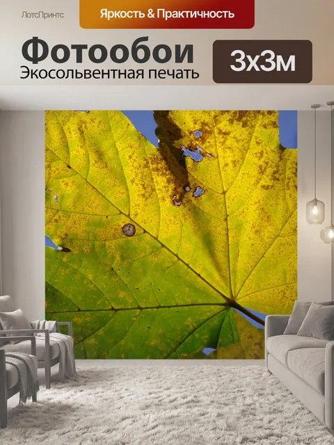 Фотообои Падение