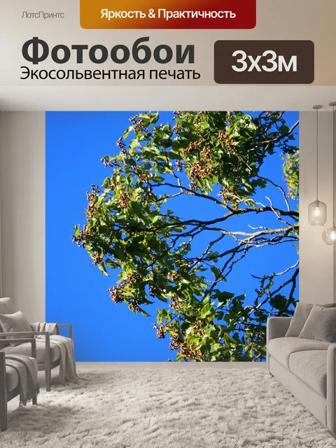 Фотообои плодоношение японский дерево изюм