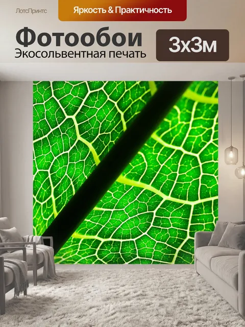 Фотообои Зеленый лист фон