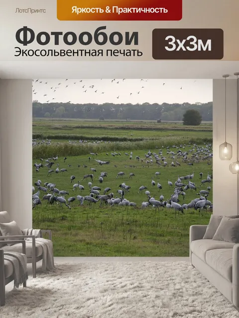 Фотообои Краны