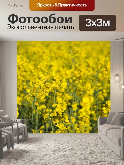 Фотообои Область желтого рапса