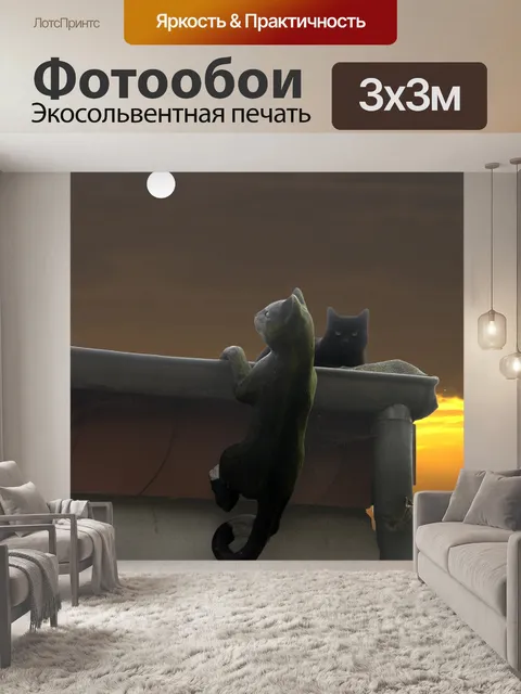 Фотообои Кот