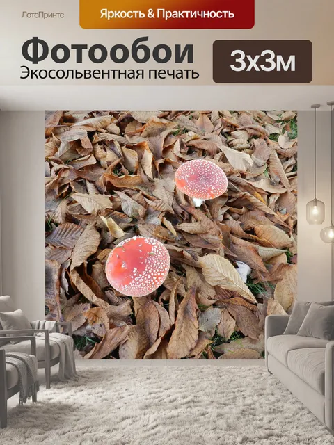 Фотообои Гриб
