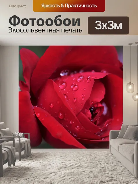 Фотообои Красная роза