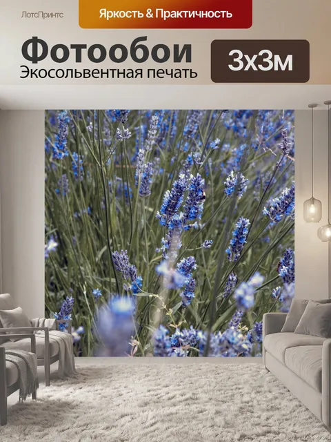 Фотообои Цветы лаванды