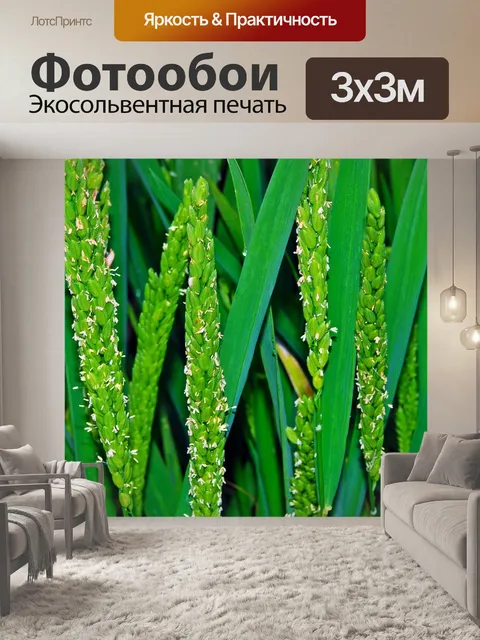 Фотообои Ферма
