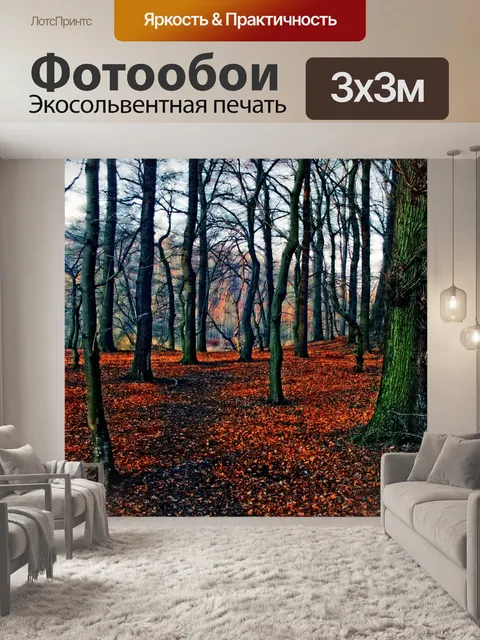Фотообои Осенний пейзаж лесных деревьев