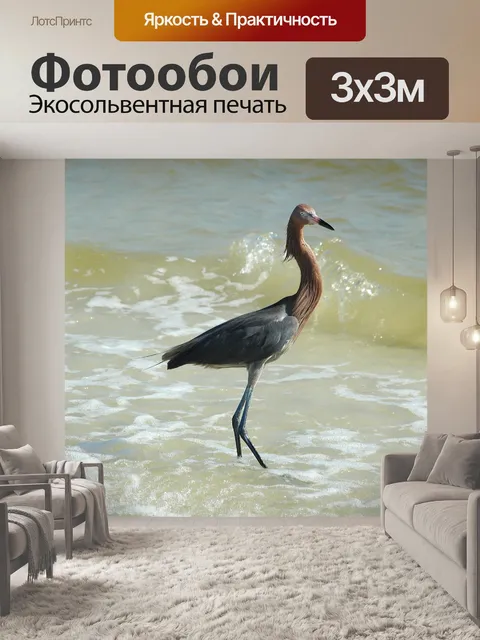 Фотообои Красный цапля