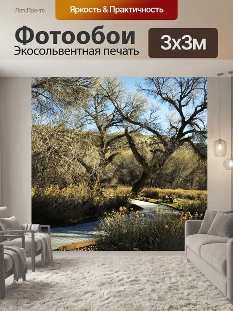 Фотообои Сельский пешеходная дорожка