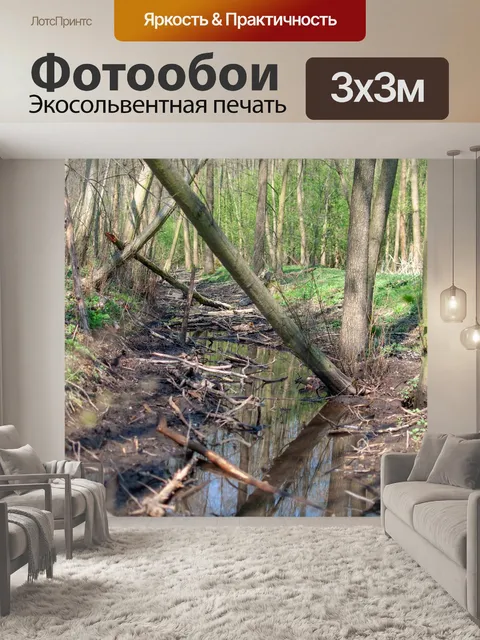 Фотообои Лес