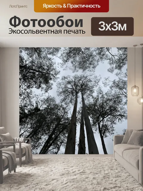 Фотообои Высокий